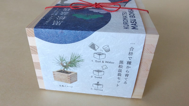 黒松盆栽に再チャレンジのパッケージ1